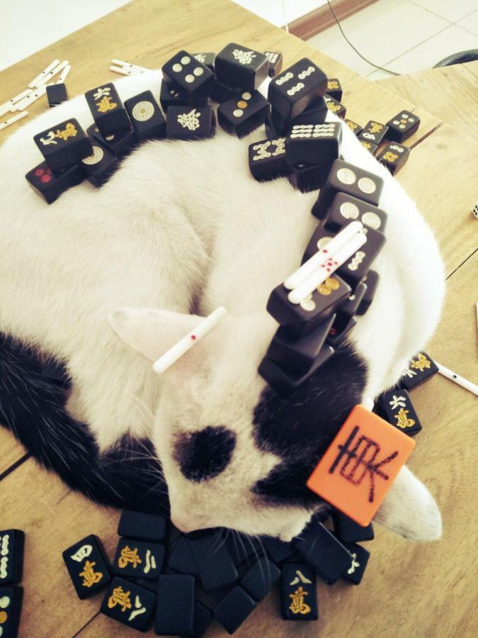 Cat Japanese Only At Uh Huh House Hostel Cebu Екстериор снимка